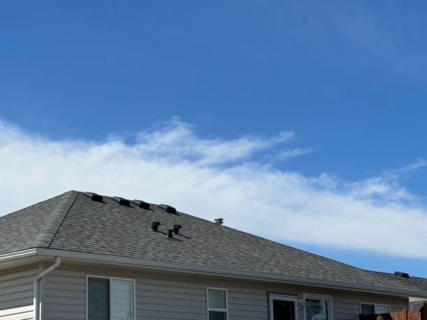 Best Roof Insulation Installation  in Campbelltown, PA